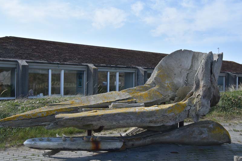 19-04-18_Holl_0184_GA2_8945