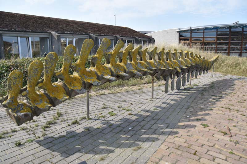 19-04-18_Holl_0188_GA2_8949