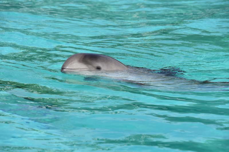 19-04-18_Holl_0197_GA2_8951