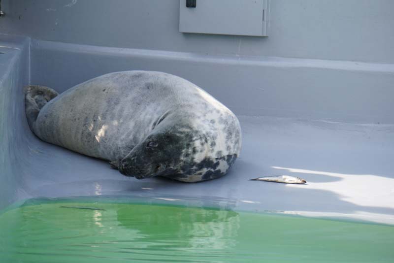 19-04-18_Holl_0218_LeS_03893