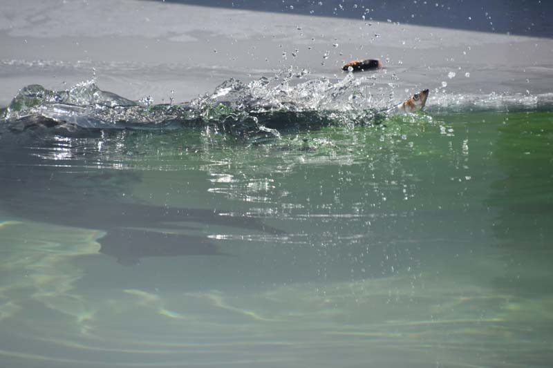 19-04-18_Holl_0324_GA2_8991