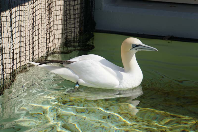 19-04-18_Holl_0400_LeS_04012