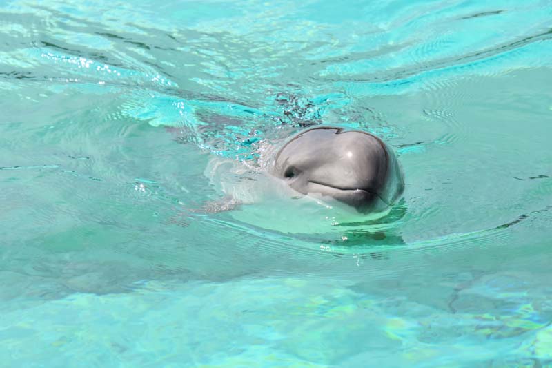 19-04-18_Holl_0464_GA2_9057