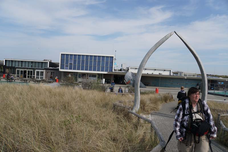 19-04-18_Holl_0498_LeS_04091