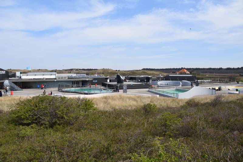 19-04-18_Holl_0501_GA2_9079