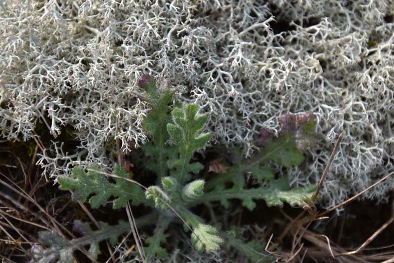 19-04-18_Holl_0510_GA2_9085