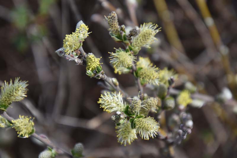 19-04-18_Holl_0512_GA2_9087