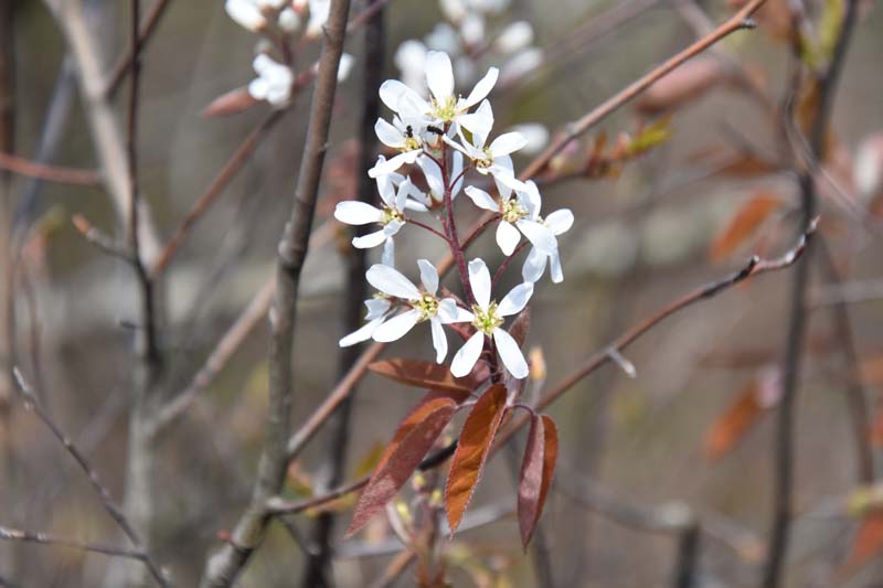 19-04-18_Holl_0514_GA2_9088