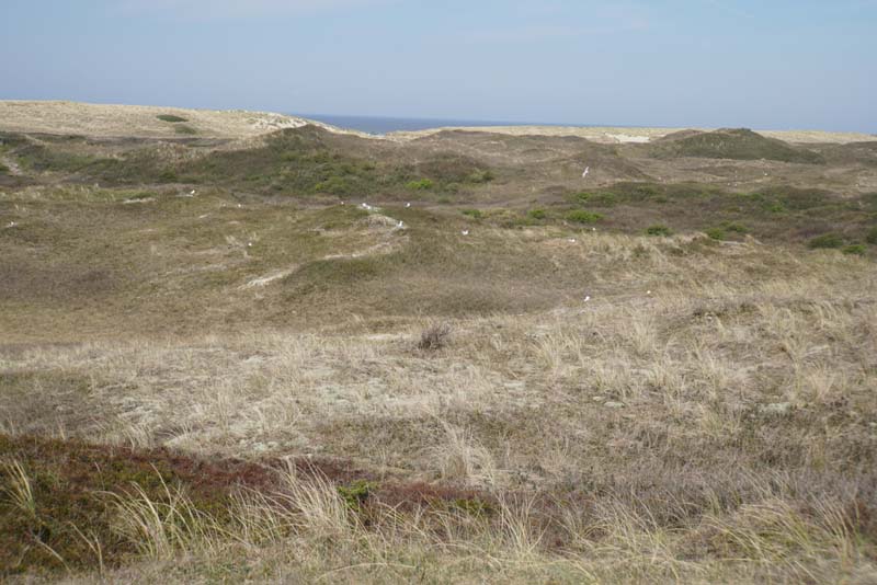 19-04-18_Holl_0521_LeS_04104