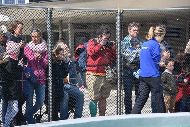 19-04-18_Holl_0591_GA2_9110