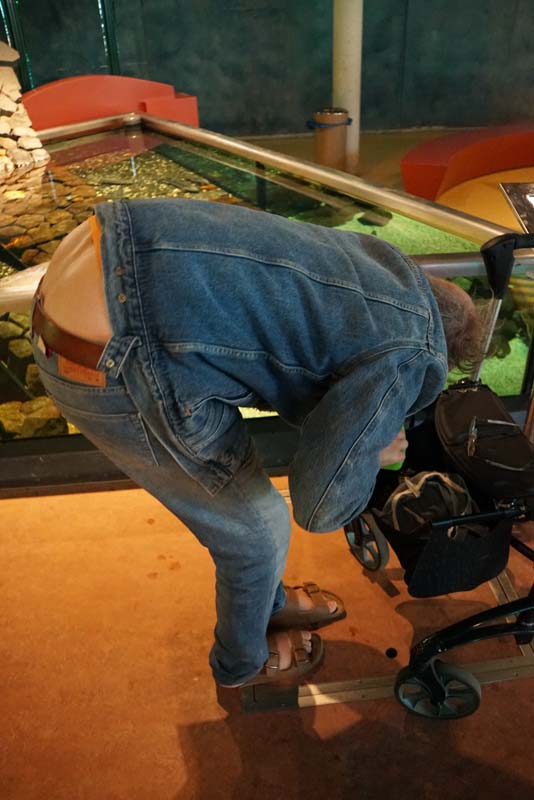 19-04-18_Holl_0686_LeS_04213