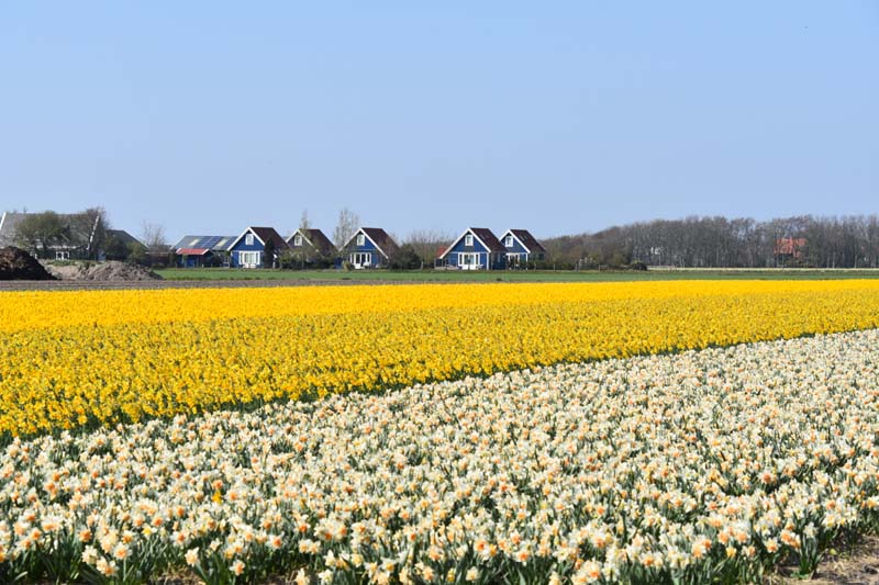 19-04-18_Holl_0822_GA2_9284