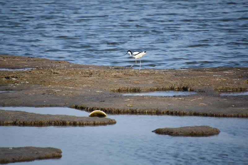 19-04-18_Holl_0922_GA2_9366