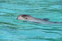 19-04-18_Holl_0197_GA2_8951