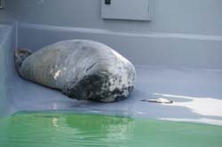 19-04-18_Holl_0218_LeS_03893