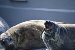 19-04-18_Holl_0226_GA2_8963