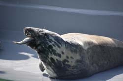 19-04-18_Holl_0302_GA2_8981