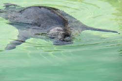 19-04-18_Holl_0305_GA2_8983