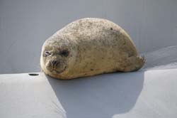 19-04-18_Holl_0344_LeS_03980