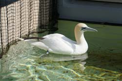 19-04-18_Holl_0400_LeS_04012