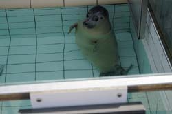 19-04-18_Holl_0449_LeS_04046