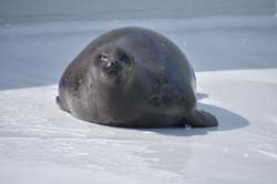 19-04-18_Holl_0478_GA2_9067