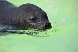 19-04-18_Holl_0482_GA2_9071