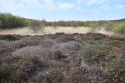 19-04-18_Holl_0509_GA2_9084