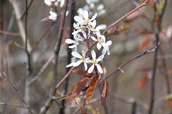 19-04-18_Holl_0514_GA2_9088