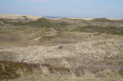 19-04-18_Holl_0521_LeS_04104