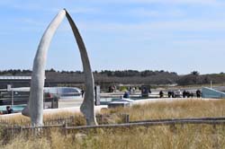 19-04-18_Holl_0542_GA2_9102