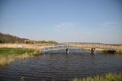 19-04-18_Holl_0790_GA2_9252