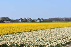 19-04-18_Holl_0822_GA2_9284