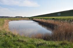 19-04-18_Holl_0911_GA2_9359